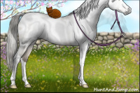 Horse Color:Gray White Spotted Liver Red Dun Ice Mushroom Tobiano Rabicano