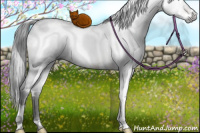Horse Color:Gray White Spotted Buckskin Ice Mushroom Splash