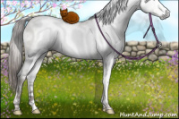 Horse Color:Gray White Spotted Buckskin Ice Pearl Mushroom Sabino Rabicano 