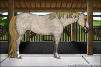 Horse Color:Liver Red Dun Ice Roan Sabino