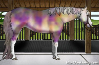 Horse Color:Nacre White Spotted Chocolate Palomino Onyx Sabino Rabicano