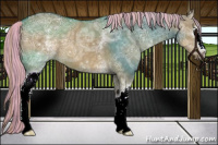 Horse Color:Painted White Spotted Chocolate Palomino Ice Dun Sabino