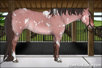 Horse Color:White Spotted Liver Red Dun Roan 