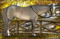 Horse Color:Chocolate Palomino Roan Sabino 