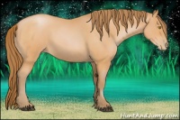 Horse Color:Bay Roan Pearl 