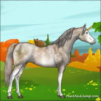 Horse Color:Gray White Spotted Silver Brown Ice Pearl Dun Mushroom 