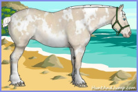 Horse Color:White Spotted Cremello Mushroom Rabicano 