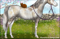Horse Color:White Spotted Chocolate Silver Brown Pearl Onyx Sabino Brindle 