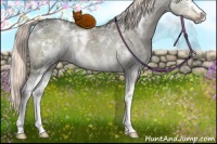 Horse Color:White Spotted Liver Red Dun Ice Mushroom Rabicano