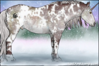 Horse Color:White Spotted Chocolate Brown Chinchilla Rabicano  and White Spotted Chocolate Silver Black Chinchilla Rabicano 