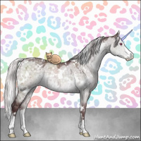Horse Color:White Spotted Chocolate Silver Grullo Chinchilla Sabino Brindle 