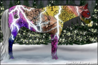Horse Color:Grullo Ice Splash Appaloosa 