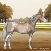 Horse Color:White Spotted Liver Chestnut Pearl Mushroom Sabino 
