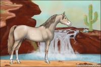 Horse Color:Liver Red Dun Roan Pearl Sabino Brindle