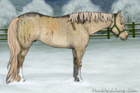 Horse Color:White Spotted Chocolate Palomino Dun Brindle