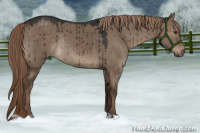 Horse Color:Liver Red Dun Rabicano Brindle