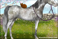 Horse Color:White Spotted Grullo Ice Mushroom Splash Rabicano Brindle 