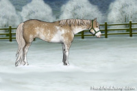 Horse Color:Chocolate Palomino Dun Sabino Rabicano