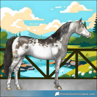 Horse Color:White Spotted Buckskin Dun Frame Brindle 