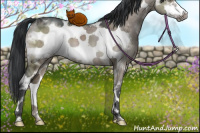Horse Color:White Spotted Brown Ice Dun Frame