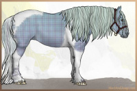 Horse Color:Watercolor Plaid Chocolate Palomino Dun Tobiano