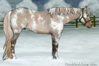 Horse Color:White Spotted Liver Red Dun Roan