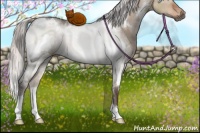 Horse Color:White Spotted Silver Brown Dun 