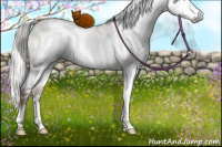 Horse Color:Gray White Spotted Silver Brown Dun Splash Rabicano 