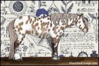 Horse Color:Silver Brown Dun Sabino Near Leopard 