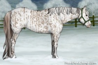 Horse Color:Liver Red Dun Sabino Tobiano Rabicano and Red Dun Sabino Varnish Rabicano