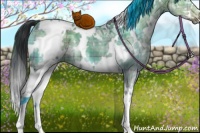 Horse Color:Plaid  White Spotted Brown Ice Dun 
