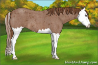 Horse Color:Red Roan Splash 