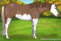 Horse Color:Red Roan Splash 