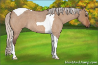 Horse Color:Silver Bay Roan Dun Tobiano