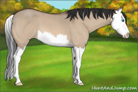 Horse Color:Bay Roan Dun Splash
