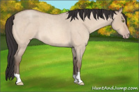Horse Color:Amber Champagne Roan Dun