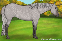 Horse Color:Platinum Silver Brown Dun 
