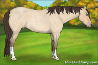 Horse Color:Sable Cream Champagne Roan Dun