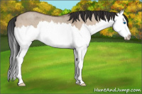 Horse Color:Bay Roan Dun Splash