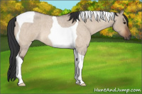 Horse Color:Bay Roan Dun Tobiano 