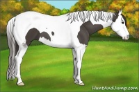 Horse Color:Smoky Black Splash Tobiano