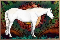 Horse Color:Perlino Dun Splash 