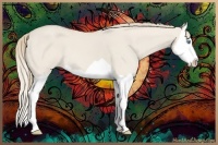 Horse Color:Smoky Creme Dun Splash 