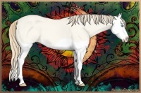 Horse Color:Perlino Dun Splash 