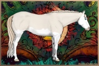 Horse Color:Smoky Creme Dun Splash 