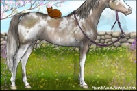 Horse Color:White Spotted Liver Red Dun Mushroom Rabicano