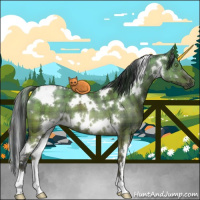 Horse Color:Plaid  White Spotted Brown Dun Brindle 