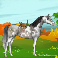 Horse Color:White Spotted Brown Ice Dun Splash Brindle 