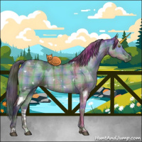 Horse Color:Nacre Plaid  White Spotted Brown Dun Mushroom 