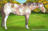 Horse Color:Nacre White Spotted Chocolate Buckskin Ice Dun Sabino